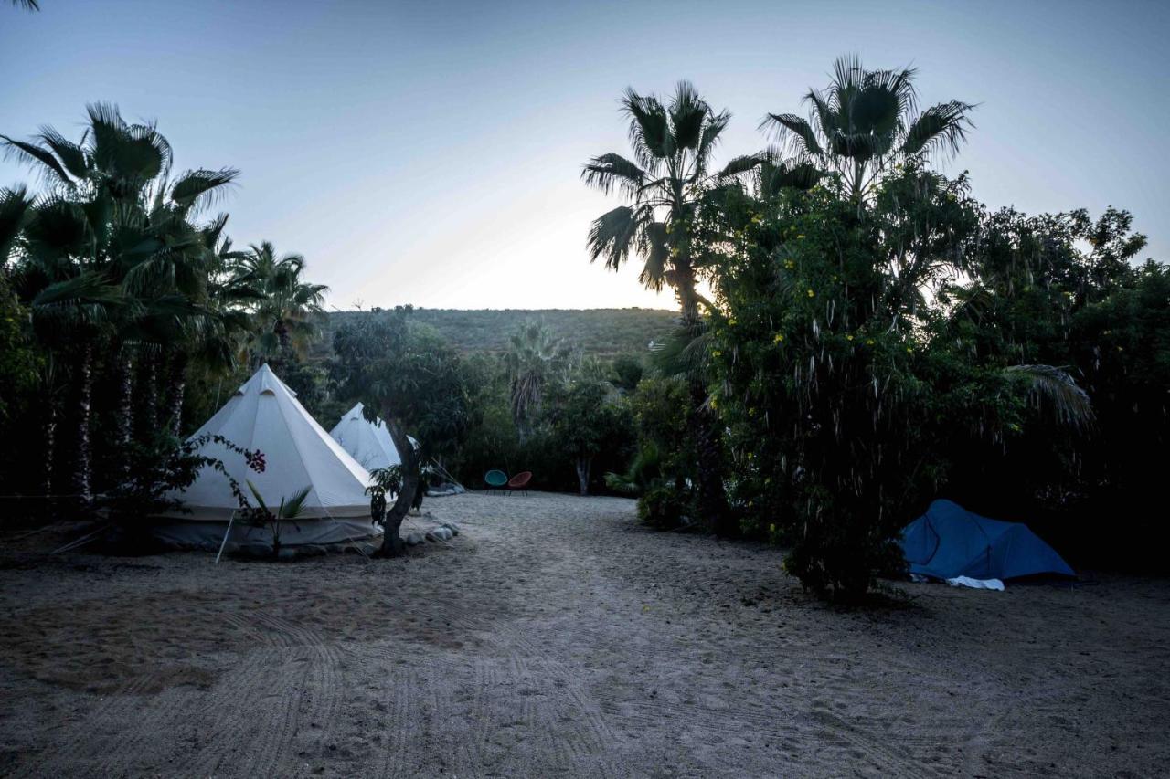 Todos Santos Hostel Super Fast And Stable Satellite Wifi Exteriér fotografie